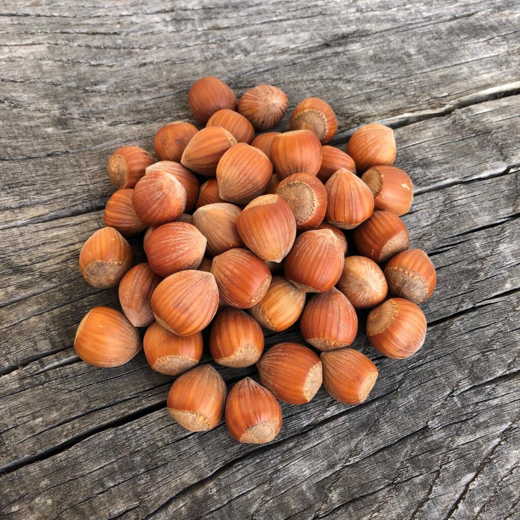 Nüsse Buuregarte Boog